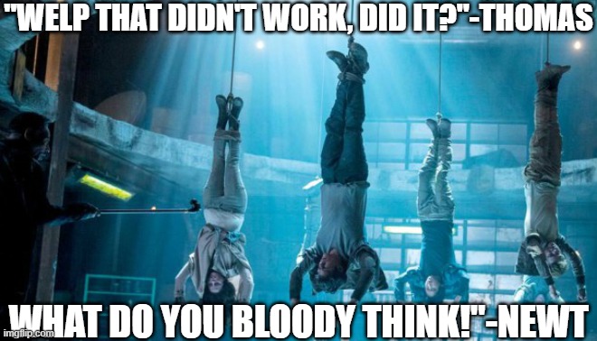 Thomas's Idea does not work | "WELP THAT DIDN'T WORK, DID IT?"-THOMAS; WHAT DO YOU BLOODY THINK!"-NEWT | image tagged in maze runner scorch trials hanging | made w/ Imgflip meme maker