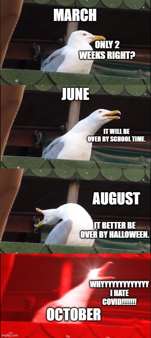Inhaling Seagull Meme | MARCH; ONLY 2 WEEKS RIGHT? JUNE; IT WILL BE OVER BY SCHOOL TIME. AUGUST; IT BETTER BE OVER BY HALLOWEEN. WHYYYYYYYYYYYYY I HATE COVID!!!!!!! OCTOBER | image tagged in memes,inhaling seagull | made w/ Imgflip meme maker