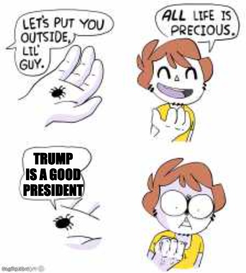 All life is precious |  TRUMP IS A GOOD PRESIDENT | image tagged in all life is precious | made w/ Imgflip meme maker