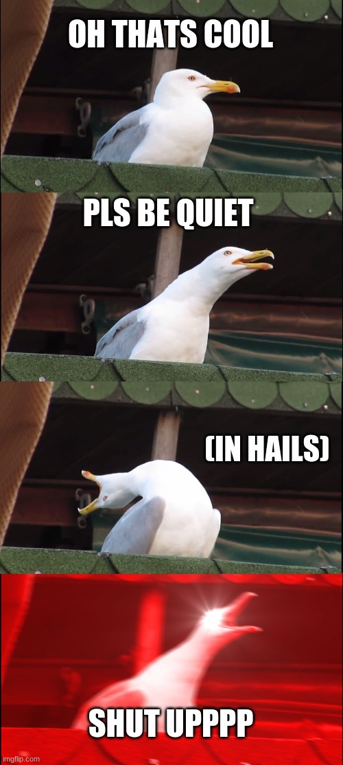 shut up | OH THATS COOL; PLS BE QUIET; (IN HAILS); SHUT UPPPP | image tagged in memes,inhaling seagull | made w/ Imgflip meme maker