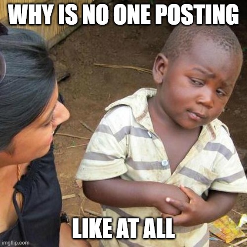 Third World Skeptical Kid | WHY IS NO ONE POSTING; LIKE AT ALL | image tagged in memes,third world skeptical kid | made w/ Imgflip meme maker