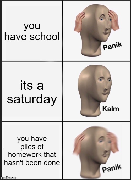 it happens sometimes | you have school; its a saturday; you have piles of homework that hasn't been done | image tagged in memes,panik kalm panik | made w/ Imgflip meme maker