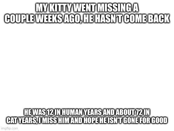 Blank White Template | MY KITTY WENT MISSING A COUPLE WEEKS AGO, HE HASN’T COME BACK; HE WAS 12 IN HUMAN YEARS AND ABOUT 72 IN CAT YEARS, I MISS HIM AND HOPE HE ISN’T GONE FOR GOOD | image tagged in blank white template,cats | made w/ Imgflip meme maker