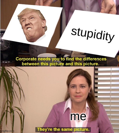 They're The Same Picture |  stupidity; me | image tagged in memes,they're the same picture | made w/ Imgflip meme maker