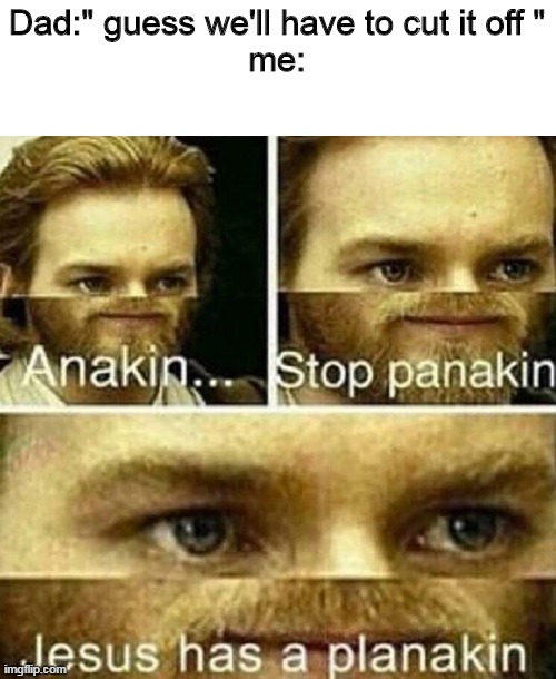 Please have mercy |  Dad:" guess we'll have to cut it off "
me: | image tagged in anakin stop panakin jesus has a planakin,aaa,dead | made w/ Imgflip meme maker