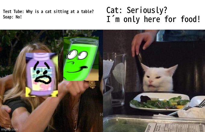 Soap Yells At A Cat | Test Tube: Why is a cat sitting at a table?
Soap: No! Cat: Seriously? I´m only here for food! | image tagged in memes,woman yelling at cat | made w/ Imgflip meme maker