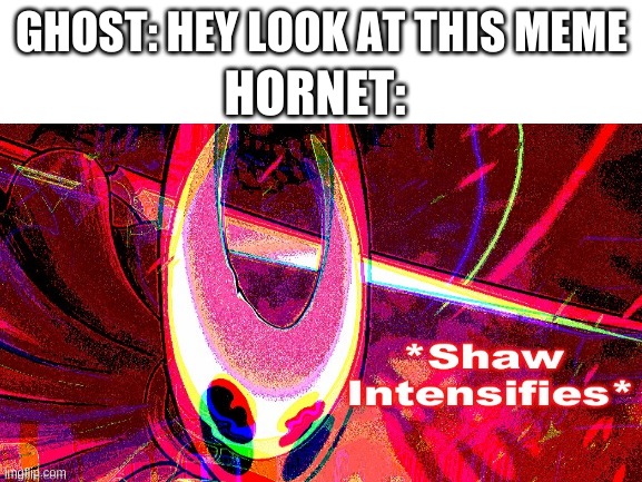 S H A W! | HORNET:; GHOST: HEY LOOK AT THIS MEME | image tagged in memes,video games | made w/ Imgflip meme maker