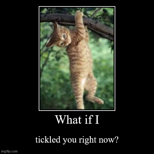 Demotivational Tickle Cat | image tagged in funny,demotivationals | made w/ Imgflip demotivational maker