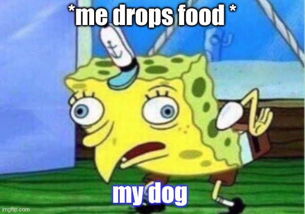 Mocking Spongebob | *me drops food *; my dog | image tagged in memes,mocking spongebob | made w/ Imgflip meme maker