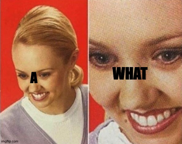 the WHAT | A WHAT | image tagged in the what | made w/ Imgflip meme maker