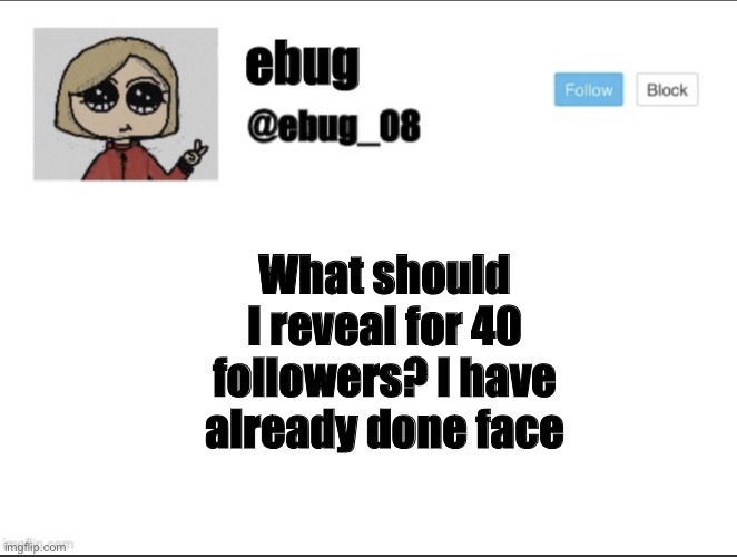 What should I reveal for 40 followers? I have already done face | image tagged in ebug_08 update | made w/ Imgflip meme maker