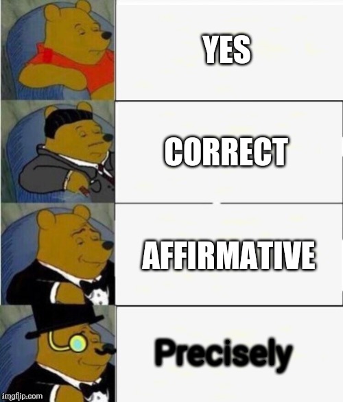 Another one | YES; CORRECT; AFFIRMATIVE; Precisely | image tagged in tuxedo winnie the pooh 4 panel | made w/ Imgflip meme maker