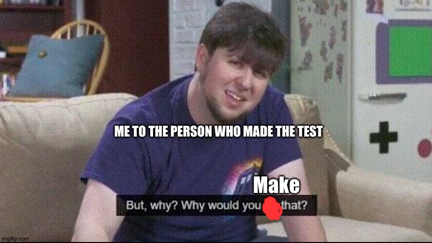 But why why would you do that? | ME TO THE PERSON WHO MADE THE TEST Make | image tagged in but why why would you do that | made w/ Imgflip meme maker