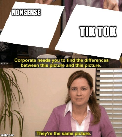 tik tok is weird peope | TIK TOK; NONSENSE | image tagged in they re the same thing | made w/ Imgflip meme maker