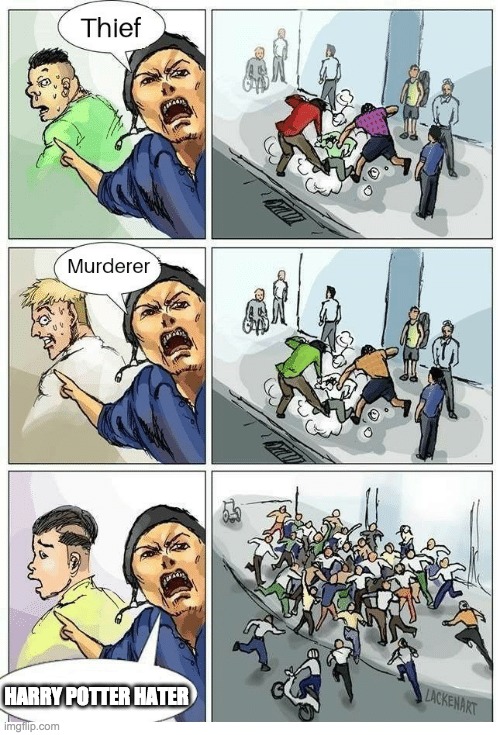Theif! Murderer! | HARRY POTTER HATER | image tagged in theif murderer,harry potter,haters | made w/ Imgflip meme maker