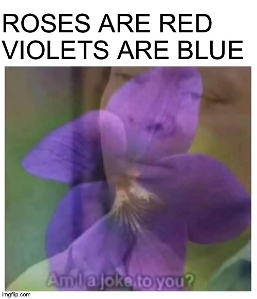 ROSES ARE RED
VIOLETS ARE BLUE | image tagged in am i a joke to you,memes | made w/ Imgflip meme maker