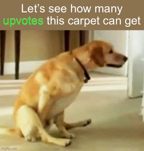 upvotes; Let’s see how many upvotes this carpet can get | image tagged in upvote | made w/ Imgflip meme maker