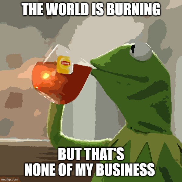 Kermit Watching the world burn | THE WORLD IS BURNING; BUT THAT'S NONE OF MY BUSINESS | image tagged in memes,but that's none of my business,kermit the frog | made w/ Imgflip meme maker