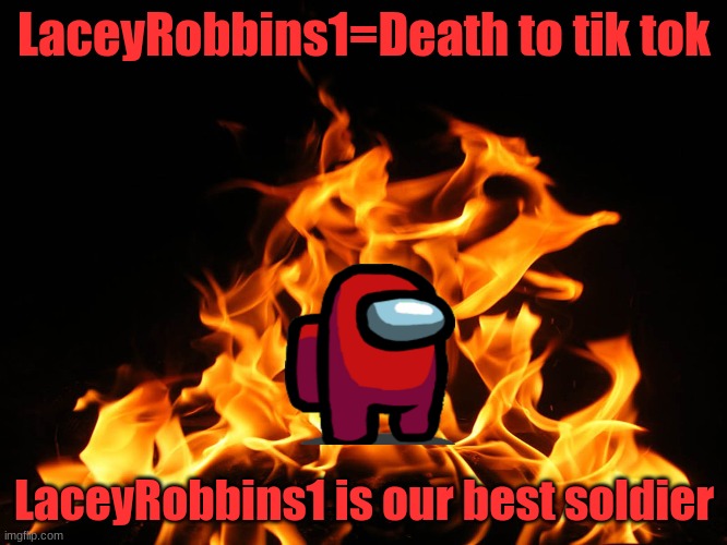 LaceyRobbins1=??? | LaceyRobbins1=Death to tik tok; LaceyRobbins1 is our best soldier | image tagged in flames | made w/ Imgflip meme maker