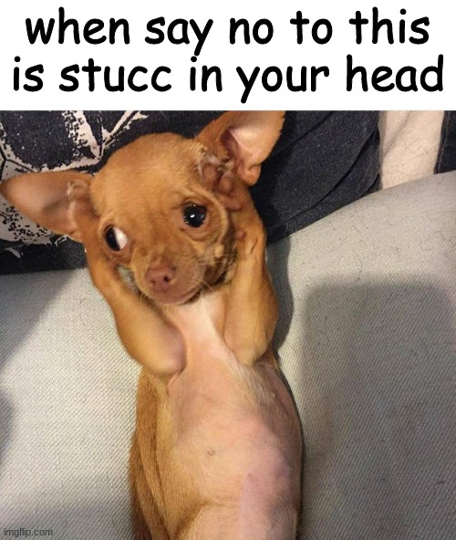 ITS NOT A BAD SONG!!! I just find it kinda gross and just not my favorite song, oKAY, MARIA FANS?! | when say no to this is stucc in your head | image tagged in dog covers ears | made w/ Imgflip meme maker