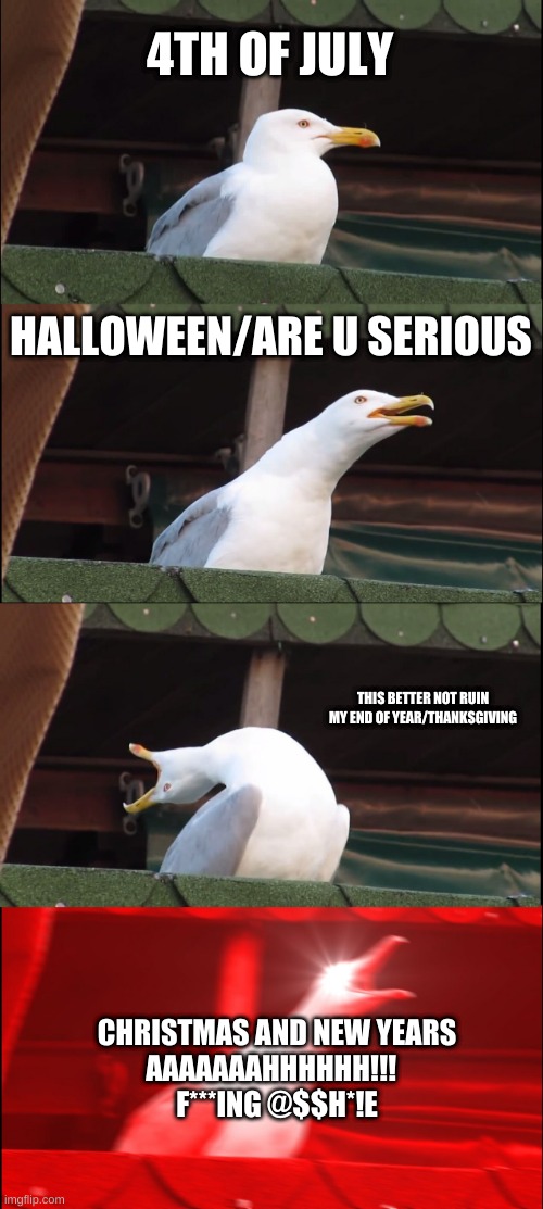 Inhaling Seagull Meme | 4TH OF JULY; HALLOWEEN/ARE U SERIOUS; THIS BETTER NOT RUIN MY END OF YEAR/THANKSGIVING; CHRISTMAS AND NEW YEARS
AAAAAAAHHHHHH!!!  

F***ING @$$H*!E | image tagged in memes,inhaling seagull | made w/ Imgflip meme maker