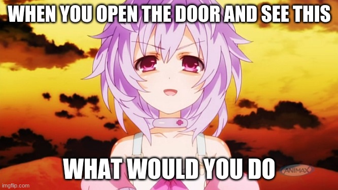 when you open the door and see this what would you do | WHEN YOU OPEN THE DOOR AND SEE THIS; WHAT WOULD YOU DO | image tagged in plutia neptunia anime evil smile | made w/ Imgflip meme maker