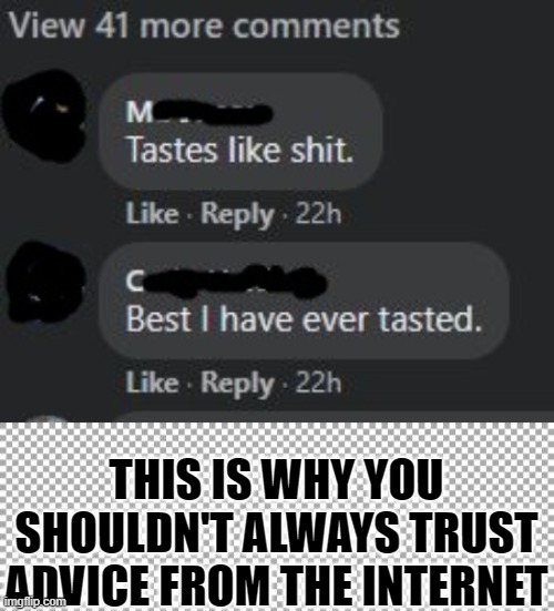 Internet Advice | THIS IS WHY YOU SHOULDN'T ALWAYS TRUST ADVICE FROM THE INTERNET | image tagged in free | made w/ Imgflip meme maker