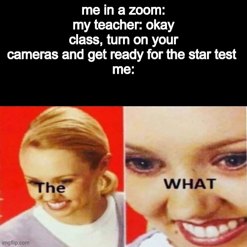 the what | me in a zoom:
my teacher: okay class, turn on your cameras and get ready for the star test 
me: | image tagged in the what | made w/ Imgflip meme maker