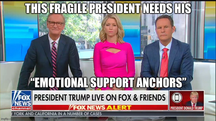 Emotional Support Anchors | THIS FRAGILE PRESIDENT NEEDS HIS; “EMOTIONAL SUPPORT ANCHORS” | image tagged in fox news,donald trump,coronavirus,loser,covid-19 | made w/ Imgflip meme maker