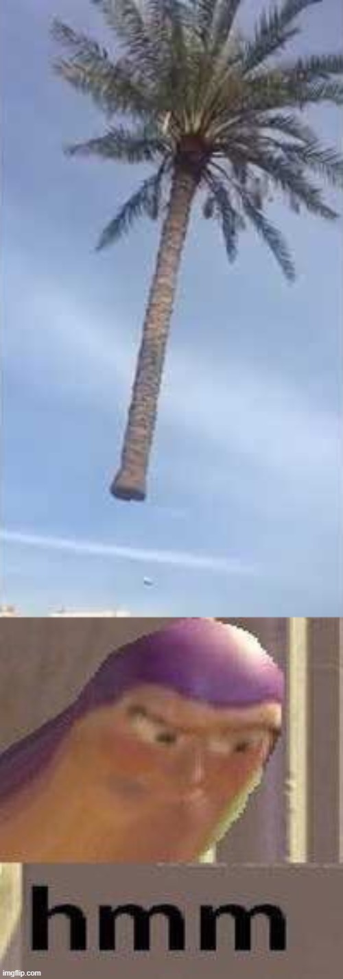 Floating tree | image tagged in buzz lightyear hmm,memes,floating tree | made w/ Imgflip meme maker