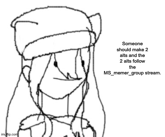 Idk | Someone should make 2 alts and the 2 alts follow the MS_memer_group stream. | image tagged in shiyu has something to say ver two | made w/ Imgflip meme maker