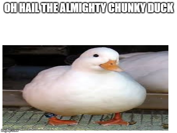 OH HAIL THE ALMIGHTY CHUNKY DUCK | made w/ Imgflip meme maker