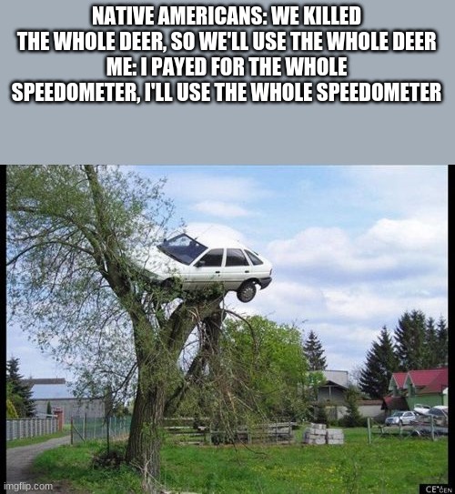 I am speed | NATIVE AMERICANS: WE KILLED THE WHOLE DEER, SO WE'LL USE THE WHOLE DEER
ME: I PAYED FOR THE WHOLE SPEEDOMETER, I'LL USE THE WHOLE SPEEDOMETER | image tagged in memes,secure parking,cars,speed,funny | made w/ Imgflip meme maker
