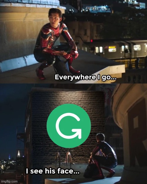 Too many grammarly ads! | image tagged in everywhere i go i see his face,memes,grammarly | made w/ Imgflip meme maker