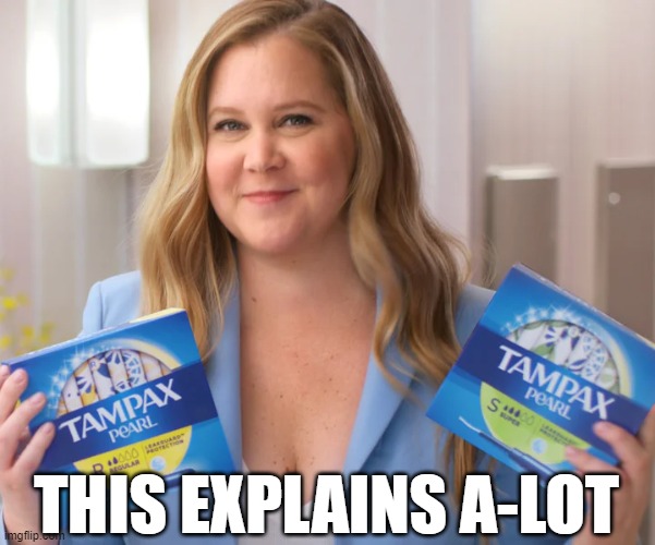 When you're perpetually on the rag, it helps to be the company spokesperson. | THIS EXPLAINS A-LOT | image tagged in amy schumer,tampax,memes | made w/ Imgflip meme maker