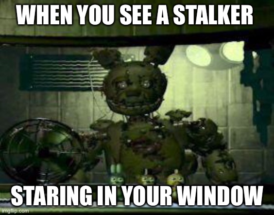 FNAF Springtrap in window |  WHEN YOU SEE A STALKER; STARING IN YOUR WINDOW | image tagged in fnaf springtrap in window | made w/ Imgflip meme maker