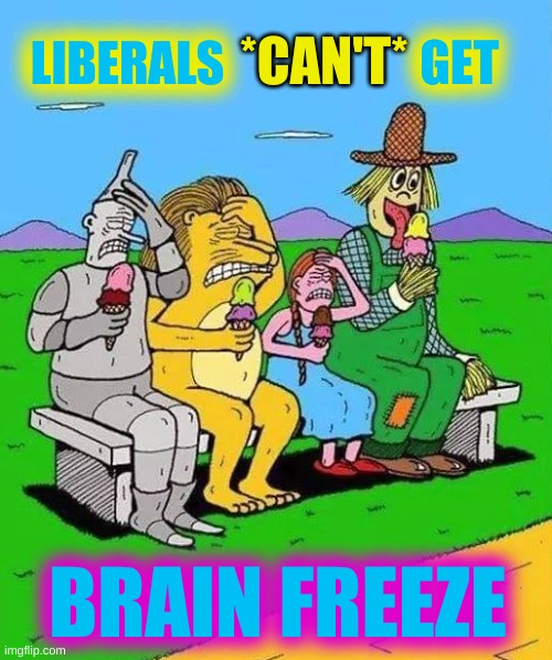 if liberals only had a brain | GET; *CAN'T*; LIBERALS; BRAIN FREEZE | image tagged in wizard of oz brain freeze,brain freeze,stupid liberals,trump 2020,liberals vs conservatives | made w/ Imgflip meme maker