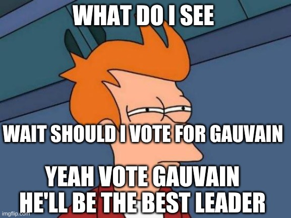 Futurama Fry | WHAT DO I SEE; WAIT SHOULD I VOTE FOR GAUVAIN; YEAH VOTE GAUVAIN HE'LL BE THE BEST LEADER | image tagged in memes,futurama fry | made w/ Imgflip meme maker