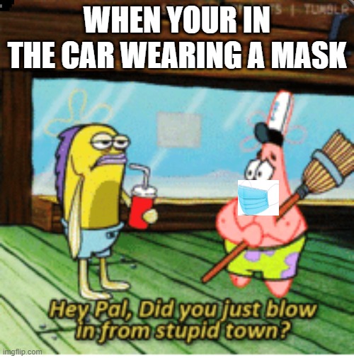 WHEN YOUR IN THE CAR WEARING A MASK | image tagged in dumb | made w/ Imgflip meme maker