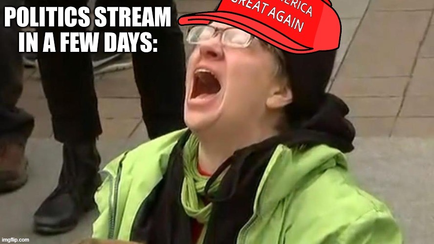 Self-explanatory | POLITICS STREAM IN A FEW DAYS: | image tagged in maga sky screamer | made w/ Imgflip meme maker