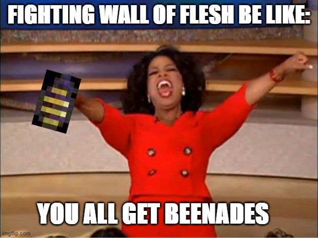 Oprah You Get A | FIGHTING WALL OF FLESH BE LIKE:; YOU ALL GET BEENADES | image tagged in terraria | made w/ Imgflip meme maker