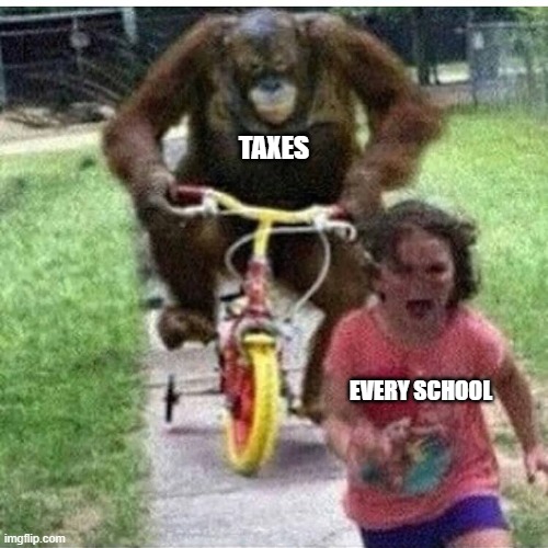 i was cool untill i made this | TAXES; EVERY SCHOOL | image tagged in ape on bike | made w/ Imgflip meme maker