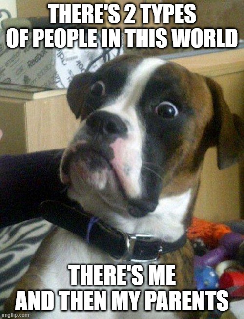 Blankie the Shocked Dog | THERE'S 2 TYPES OF PEOPLE IN THIS WORLD; THERE'S ME AND THEN MY PARENTS | image tagged in blankie the shocked dog | made w/ Imgflip meme maker