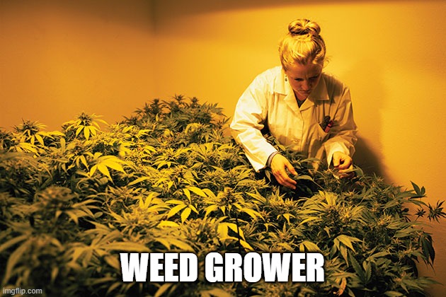 WEED GROWER | made w/ Imgflip meme maker