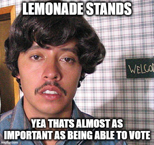 Vote for Pedro  | LEMONADE STANDS YEA THATS ALMOST AS IMPORTANT AS BEING ABLE TO VOTE | image tagged in vote for pedro | made w/ Imgflip meme maker