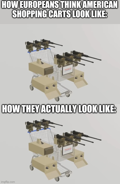 HOW EUROPEANS THINK AMERICAN SHOPPING CARTS LOOK LIKE:; HOW THEY ACTUALLY LOOK LIKE: | image tagged in tag | made w/ Imgflip meme maker