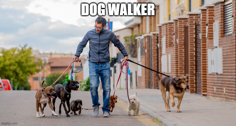 DOG WALKER | made w/ Imgflip meme maker