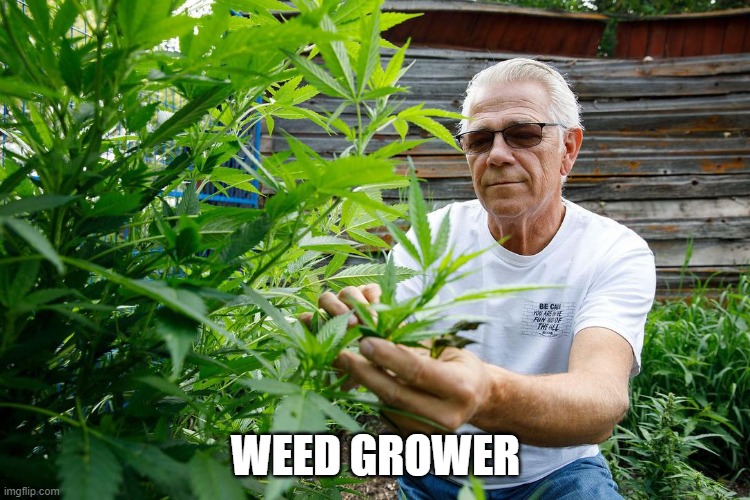 WEED GROWER | made w/ Imgflip meme maker