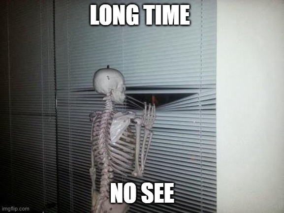 Skeleton Looking Out Window | LONG TIME NO SEE | image tagged in skeleton looking out window | made w/ Imgflip meme maker