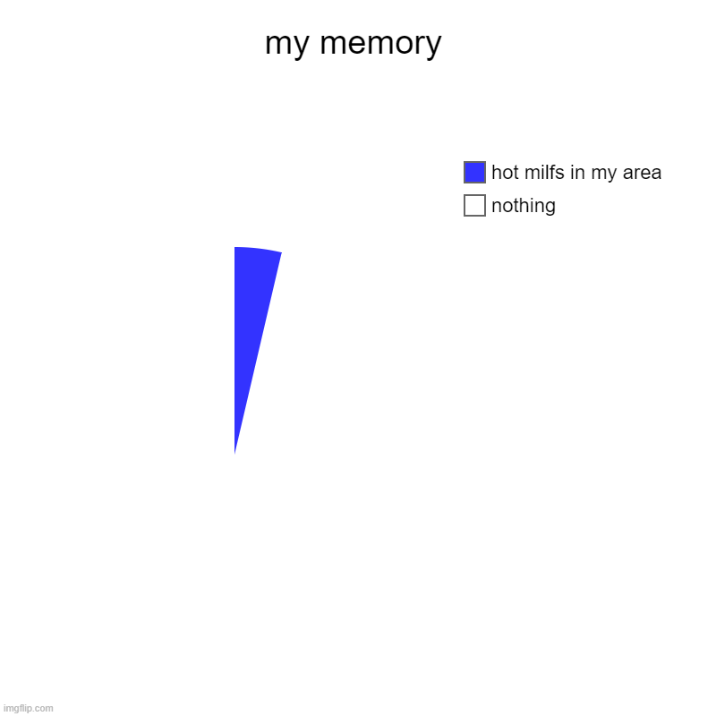 /// | my memory | nothing, hot milfs in my area | image tagged in charts,pie charts | made w/ Imgflip chart maker